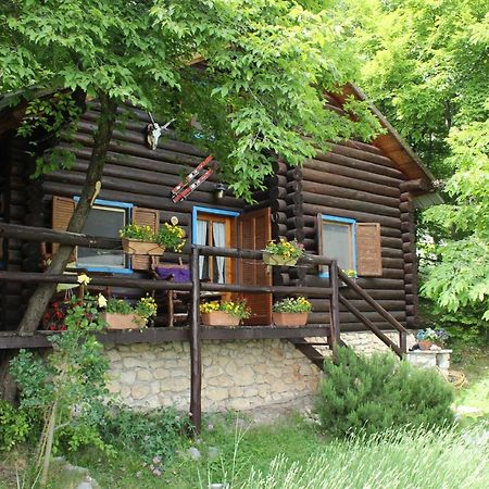 B&B Le Corone - Chalet nel Bosco Cavalo Esterno foto