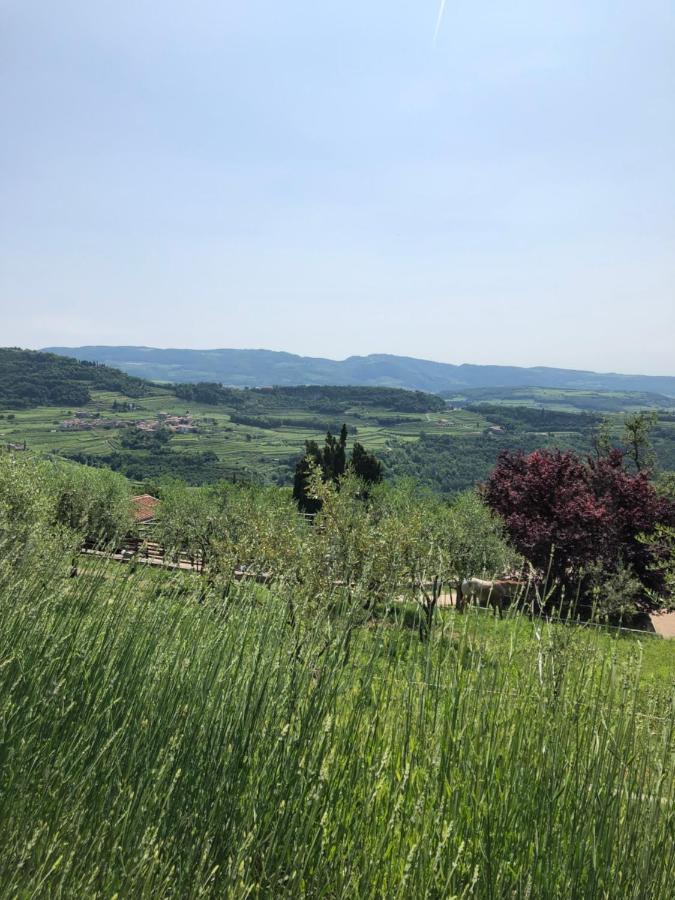 B&B Le Corone - Chalet nel Bosco Cavalo Esterno foto