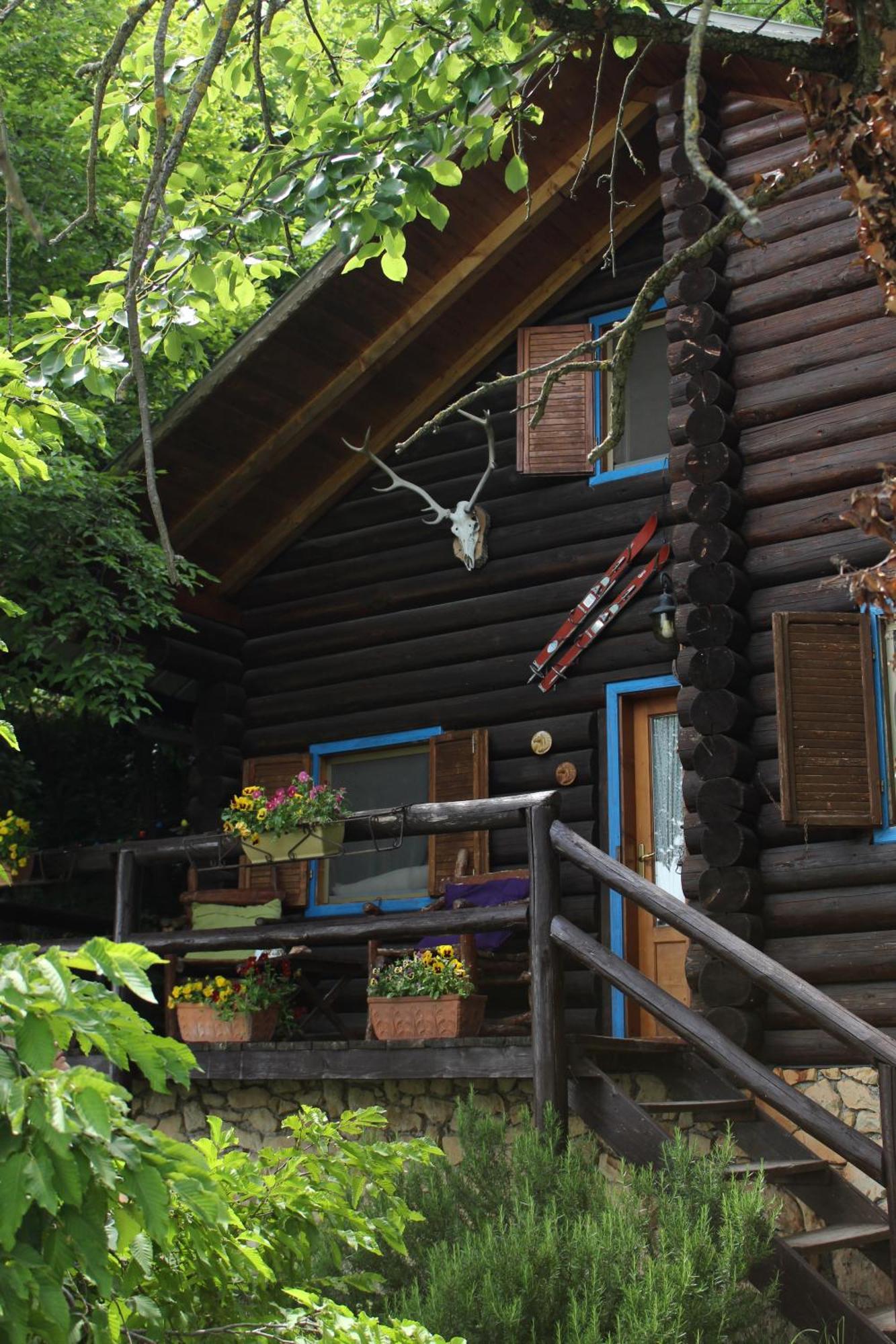 B&B Le Corone - Chalet nel Bosco Cavalo Esterno foto
