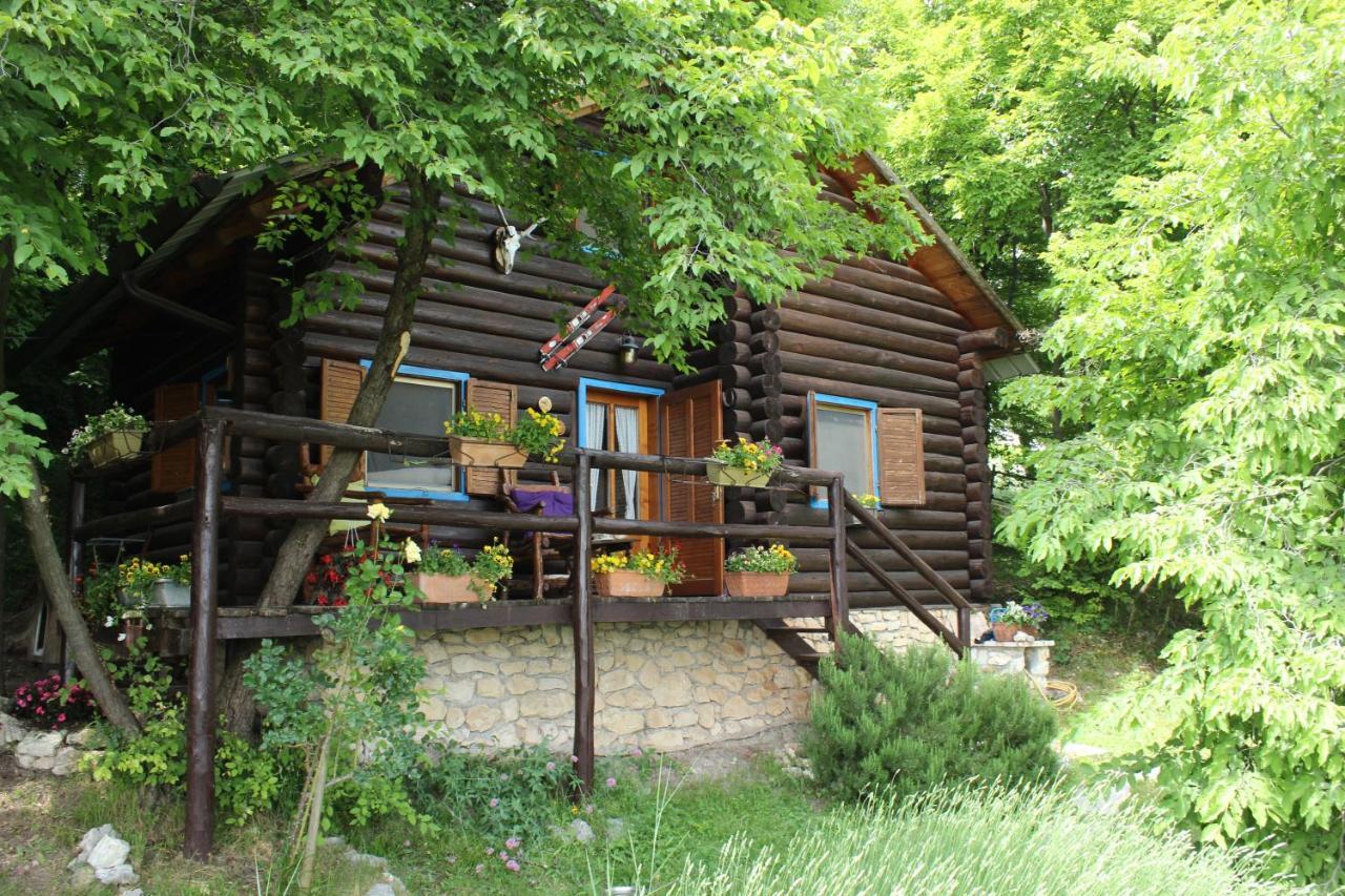 B&B Le Corone - Chalet nel Bosco Cavalo Esterno foto