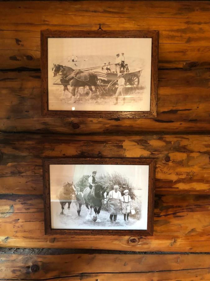 B&B Le Corone - Chalet nel Bosco Cavalo Esterno foto
