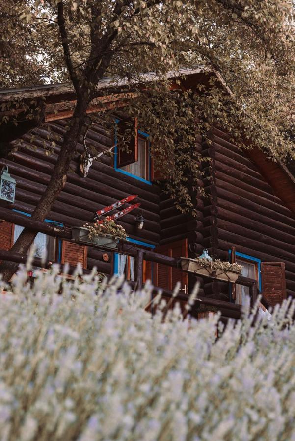 B&B Le Corone - Chalet nel Bosco Cavalo Esterno foto